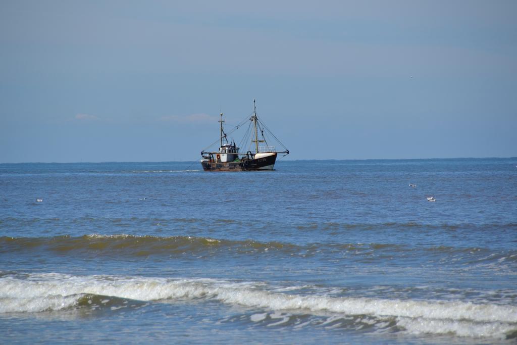 Het Koetshuis, op 50m van zee, voor 5 personen, centrum Westende BAD, alle comfort Middelkerke Buitenkant foto